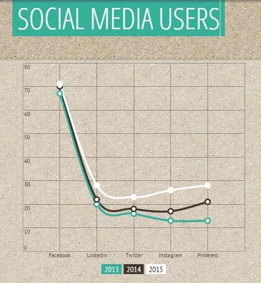 social media users